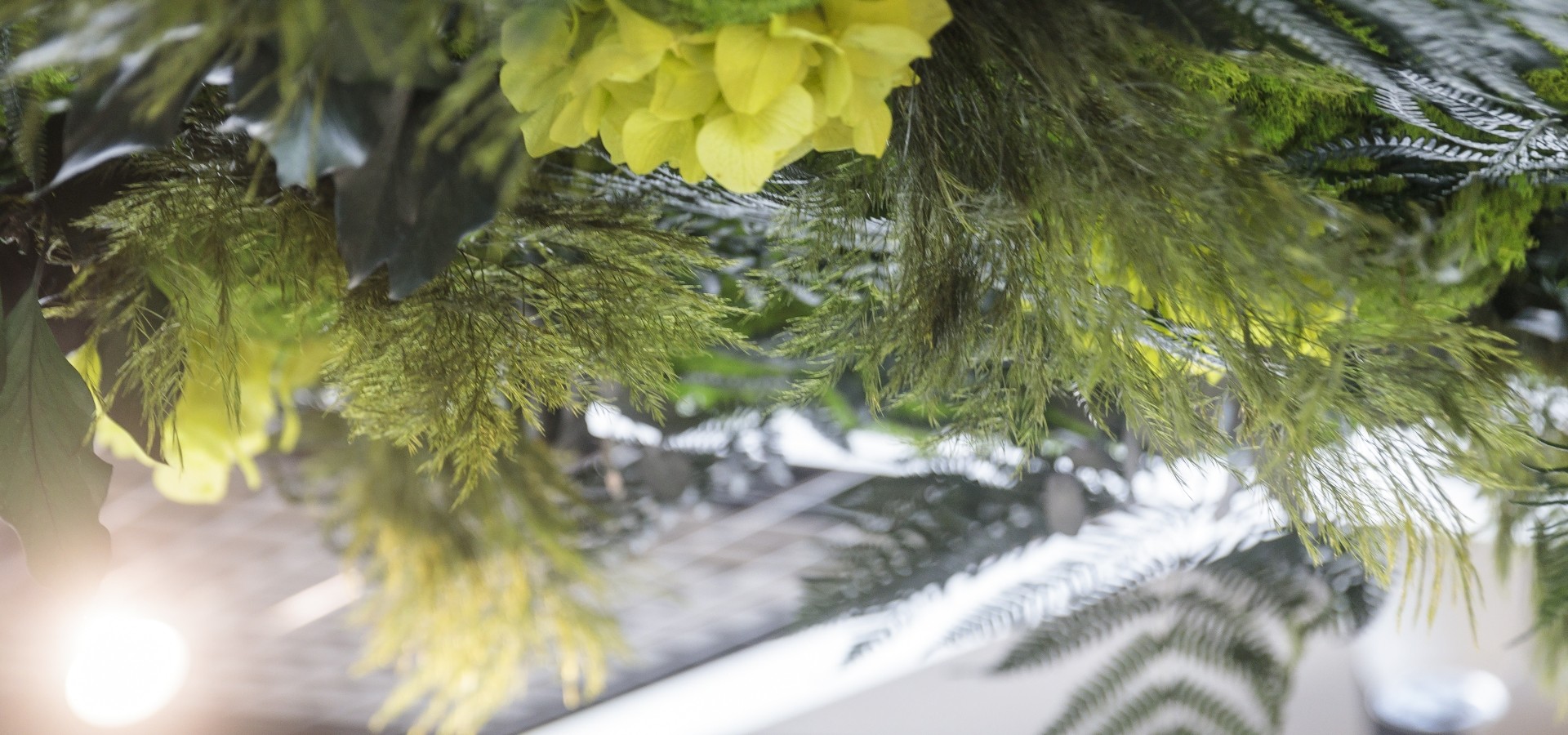 Moos im Hotel Sole Nahaufnahme von hängender grüner und gelber Pflanzen- oder Blumen-Dekoration im Boutique Hotel Sole mit weichen Lichtreflexionen im Hintergrund.