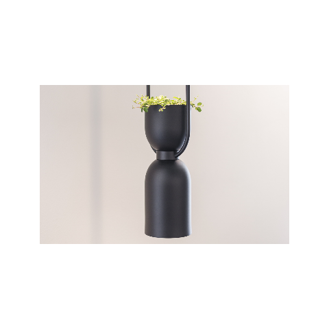 Lampe mit Pflanzendeko Minimalistische, schwarze Pendelleuchte mit integriertem Pflanzgefäß, aus dem kleine grüne Pflanzen herauswachsen, vor einer hellen Wand im Hotel Sole.